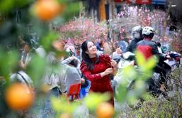 Hanoians change ways and activities to enjoy Tết