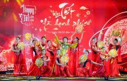 Programme offers insights into traditional Vietnamese Tết