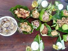 Agri-tourism in Quảng Trị drives rural incomes