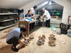Archaeologists prove excavation site in Lào Cai dates back to 4000-3500 years