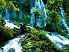 Discover Nậm Lúc Waterfall - A pristine trekking paradise in Việt Nams northwest