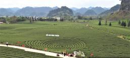Green escapes at the foot of Pha Đin Pass