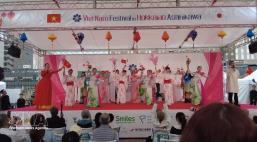 Vietnamese Cultural Festival brings people together in Japan

