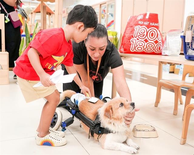 Australian woman spends 17 years rescuing dogs in Việt Nam