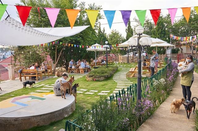 Cuddles and coffee at a rescue café which also has adoption on the menu