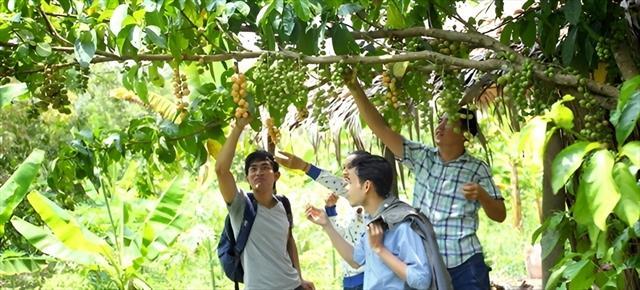 Vĩnh Long seeks ways to promote tourism along Hậu River