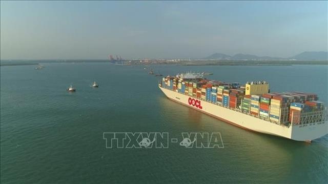 HCM City Department of Tourism proposes reception of intl cruise ships at Cái Mép–Thị Vải

