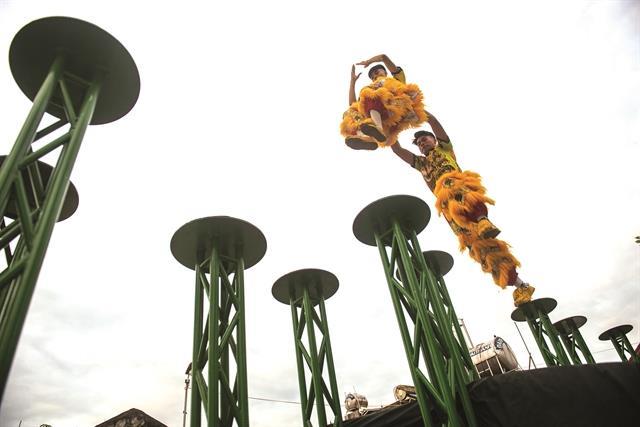 Young lions on the poles