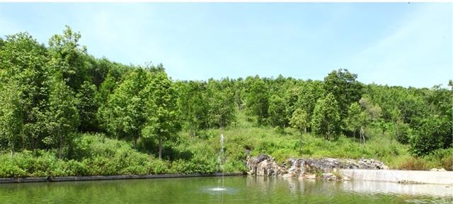 Artisan devoted to sacred Wood of the Gods