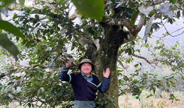 Mông law bachelor turns heritage into a livelihood in the Village in the Clouds