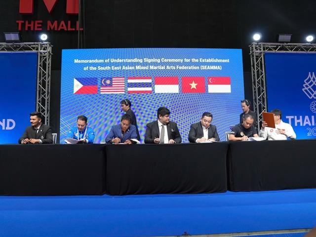 SEAMMAA set up to promote regional mixed martial arts