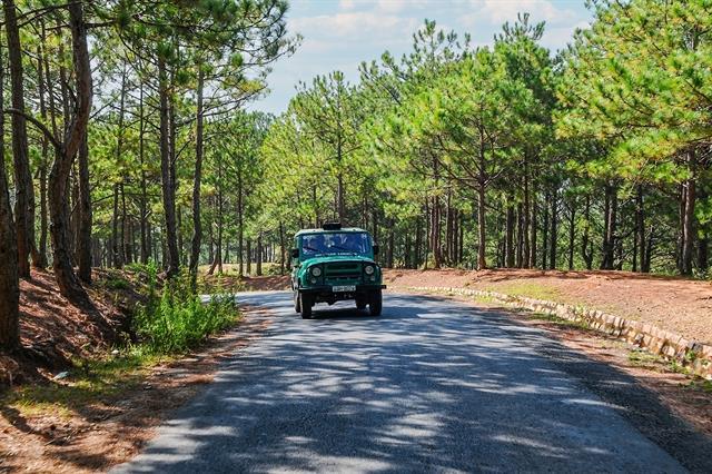 Mũi Né and Đà Lạt: top destinations for New Year adventures