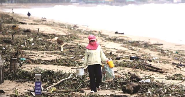 Nha Trang tourism stages rapid recovery after historic floods