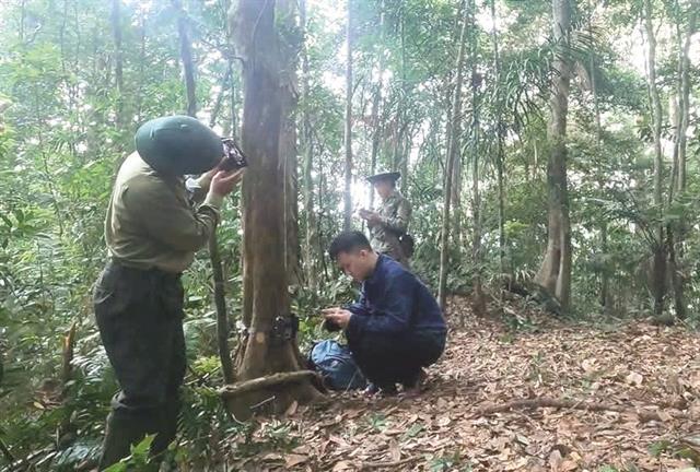 Cameras capture rare Red Book species in Tương Dương forest
