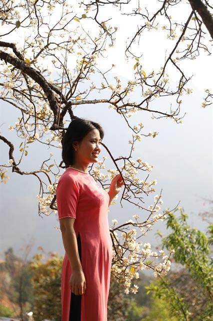 Sơn Tra flower festival, a blossoming experience in Ngọc Chiến