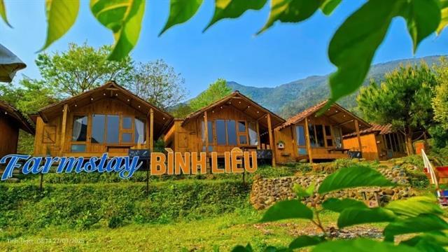 Việt Nams farm tourism blooms, blending rustic charm with flowery dreams