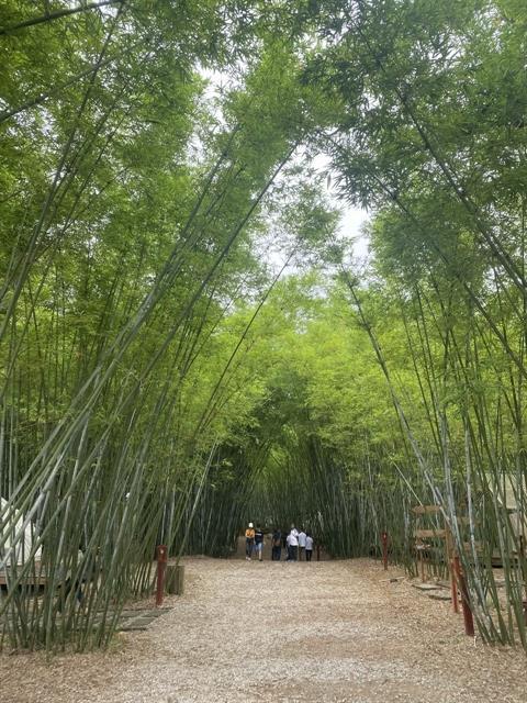 Digitalisation is needed to develop Bắc Giangs tourism