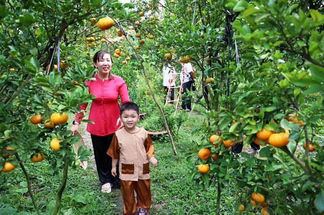 Đồng Tháp decides tourism will be key economic sector