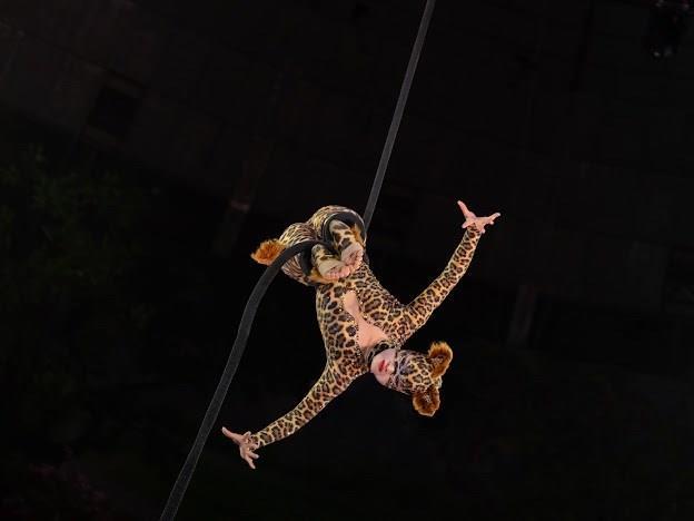 Việt Nam wins bronze at intl circus festival in Russia