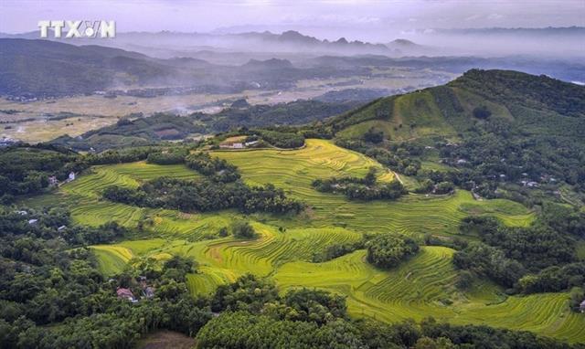 Untapped tourism potential in Miền Đồi terraced fields