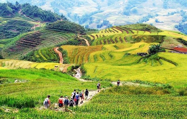 Sa Pa aims to become model for green and smart tourism

