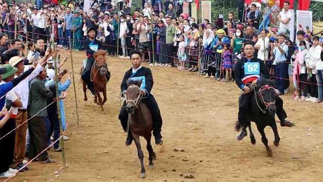 Thrilling Pu Ta Leng horse racing festival to debut in Lai Châu