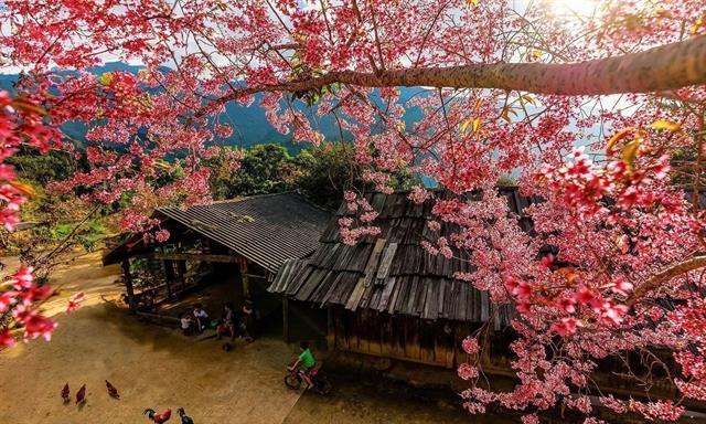 New Years adventure awaits: explore Nghệ An in 2026