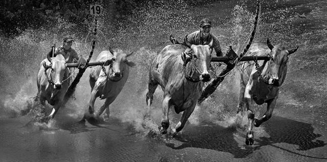 Photo contest on cultural and natural heritage launched 