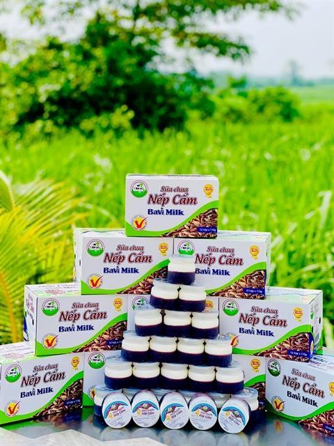 Ba Vì black glutinous rice yogurt lures interests of both locals and foreign visitors