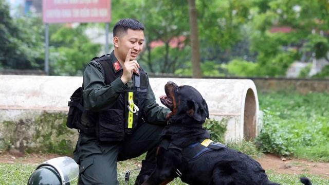Four-legged guardians