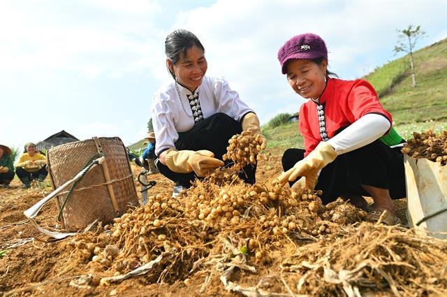 Growing a better future