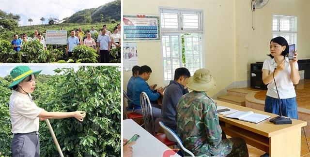 Sơn La applies science and technology to coffee production