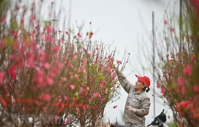 Ministry of Home Affairs gives firms three options for 2027 Lunar New Year break