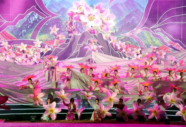 Buckwheat flower festival opens in Tuyên Quang, celebrating cultural heritage of northern mountains