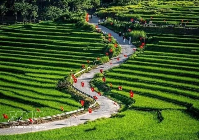 Vietnam steps up targeted tourism promotion to boost brand, market reach

