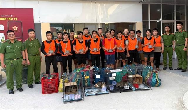 Cat theft ring busted
