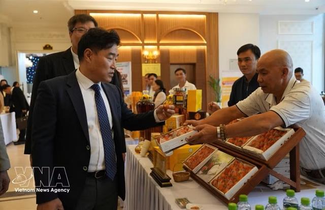 Lâm Đồng seeks stronger economic, tourism links with RoK