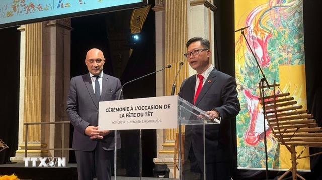 Vietnamese Tết celebrated at City Hall in Paris

