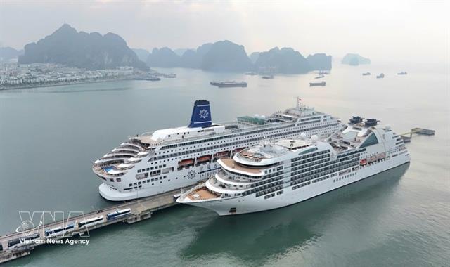 First cruises usher in upbeat Lunar New Year tourism season
