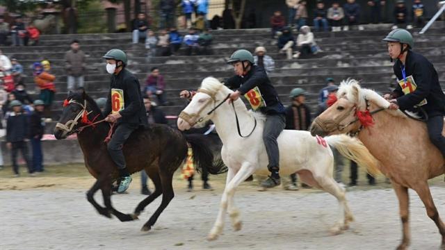 Horse racing keeps tradition alive in Bắc Hà