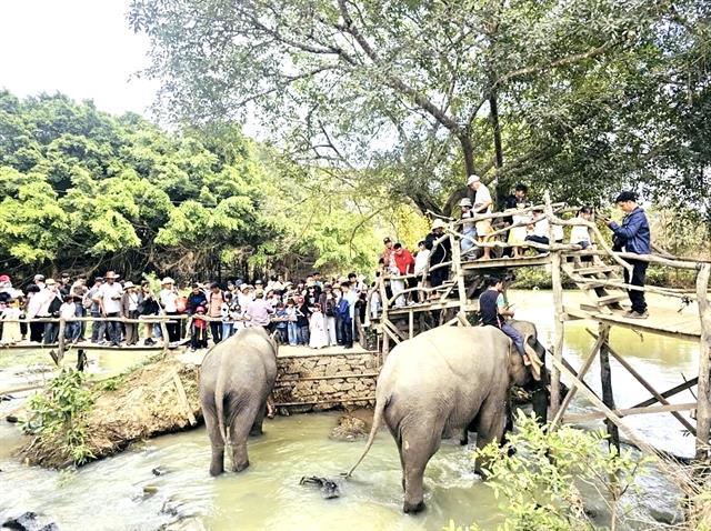 Đắk Lắk welcomes nearly 400,000 visitors during Lunar New Year