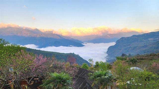 Travellers seek authenticity as Lào Cais homestays fill up for Tết holiday