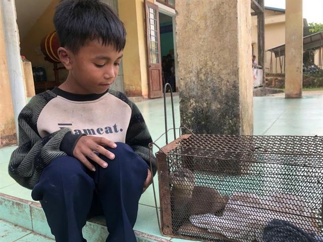 Quảng Trị hands over rare otter to Cúc Phương National Park