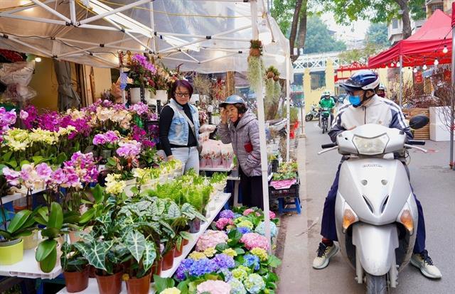 Spring Flower Market in Hà Nộis Old Quarter expanded for Tết