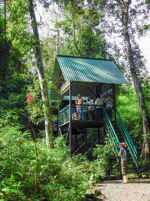 Đồng Nai decentralises heritage management to strengthen preservation efforts