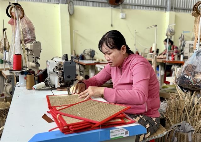 An Giang woman turns sedge grass into jobs for rural workers