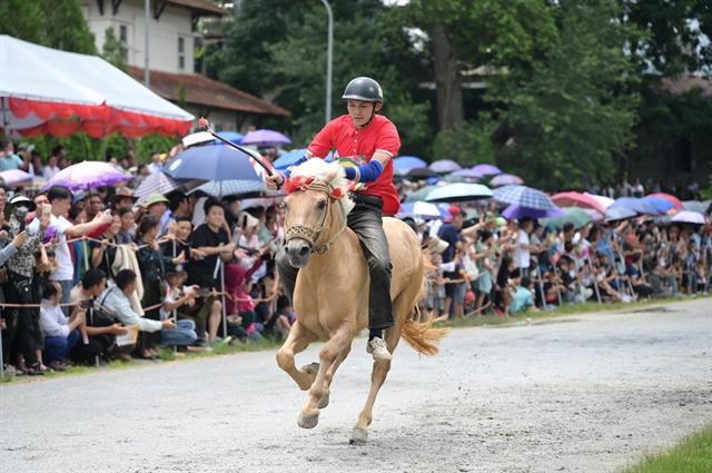 Horses carry culture and pride in Bắc Hà
