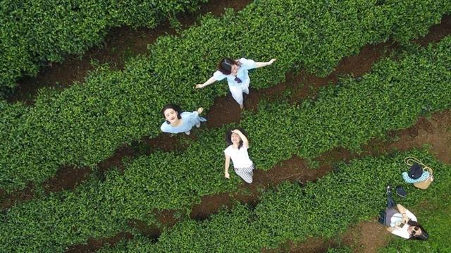 Green travel gains momentum in Việt Nam