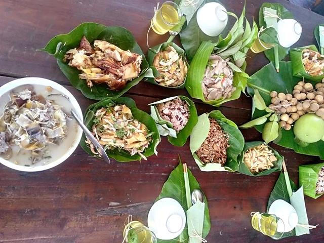 Agri-tourism in Quảng Trị drives rural incomes