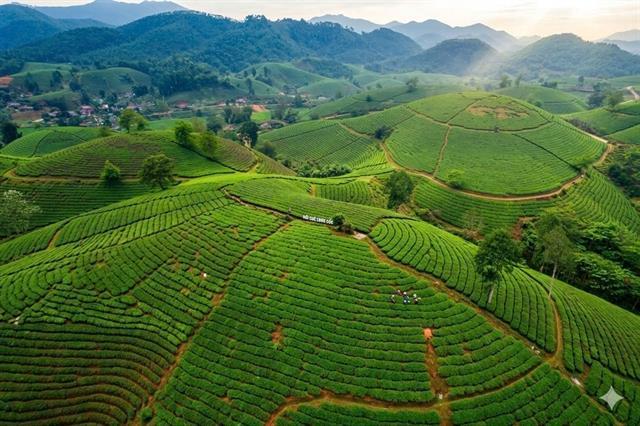 Phú Thọ offers range of wonderful experience for travellers